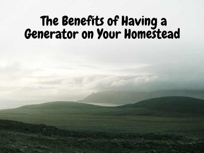 The Benefits of Having a Generator on Your Homestead Once Upon a