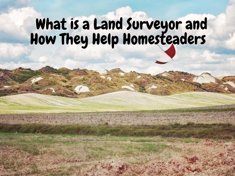 What is a Land Surveyor and How They Help Homesteaders Once Upon a