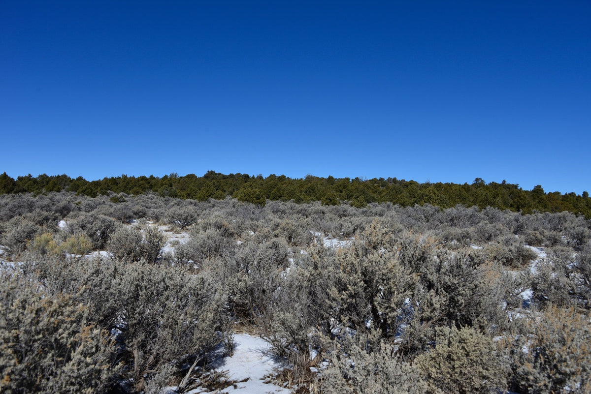 Colorado Land For Sale Once Upon a Brick Inc. Land Investments