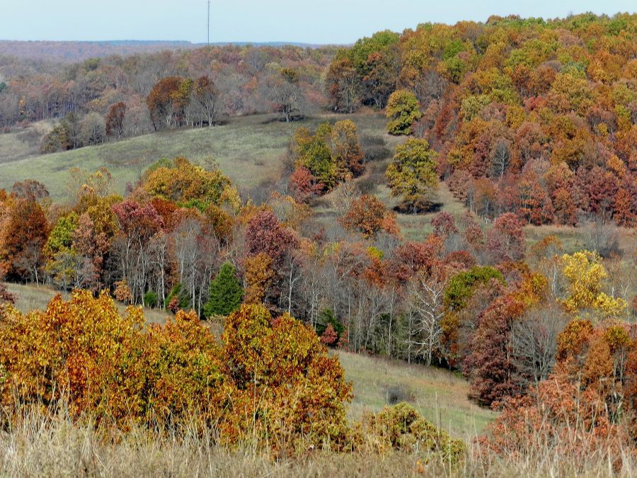 Ozark County, Missouri Land For Sale Once Upon a Brick Inc. Land