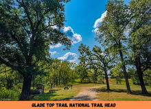 Load image into Gallery viewer, 0.07 Acre in Ozark County, MO Own for Only $950 Cash (Parcel Number: 17-0.4-20-004-012-020.000)