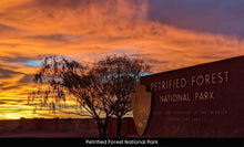 Load image into Gallery viewer, 10 Acres in Apache County, Arizona Own for $400 Per Month (212-13-007C)