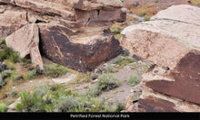 Load image into Gallery viewer, 10 Acres in Apache County, Arizona Own for $400 Per Month (212-13-007C)