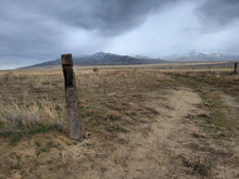 Load image into Gallery viewer, 4.77 Acres in Humboldt County, NV Own for $199 Per Month (Lot 17)