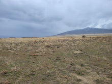 Load image into Gallery viewer, 7.61 Acres in Humboldt County, NV Own for $399 Per Month (Lots 44 & 45) - Once Upon a Brick Inc. Land Investments