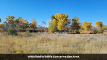 Load image into Gallery viewer, 0.5 Acre Lot in Valencia County, NM - Own for $75 Per Month (1-017-027-500-445-100400)