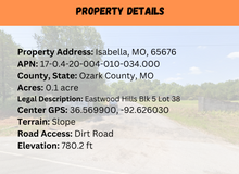 Load image into Gallery viewer, 0.10 Acre in Ozark County, MO Own for $85 Per Month (Parcel Number: 17-0.4-20-004-010-034.000)