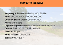 Load image into Gallery viewer, 0.55 Acre in Ozark County, MO Own for $175 Per Month (Parcel Number: 17-0.4-20-003-006-001.000)