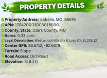 Load image into Gallery viewer, 0.33 Acre in Ozark County, MO Own for $99 Per Month (Parcel Number: 17-0.4-20-003-003-015.000) - Once Upon a Brick Inc. Land Investments