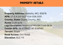 Load image into Gallery viewer, 0.28 Acre in Ozark County, MO Own for $119 Per Month (Parcel Number: 17-0.4-20-002-014-026.000)