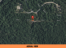 Load image into Gallery viewer, 0.07 Acre in Ozark County, MO Own for Only $950 Cash (Parcel Number: 17-0.4-20-004-012-020.000)
