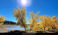 Load image into Gallery viewer, 10 Acres in Apache County, Arizona Own for $400 Per Month (212-13-007C)