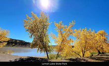 Load image into Gallery viewer, 1 Acre in Apache County, AZ (Parcel Number: 211-35-234) - Once Upon a Brick Inc. Land Investments