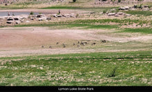 Load image into Gallery viewer, 1 Acre in Apache County, AZ Own for $199 Per Month (Parcel Number: 211-35-234)