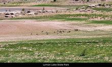 Load image into Gallery viewer, 1 Acre in Apache County, AZ (Parcel Number: 211-35-234) - Once Upon a Brick Inc. Land Investments