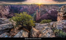 Load image into Gallery viewer, 10 Acres in Apache County, Arizona Own for $400 Per Month (212-13-007C)