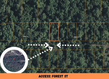 Load image into Gallery viewer, 0.07 Acre in Ozark County, MO Own for Only $950 Cash (Parcel Number: 17-0.4-20-004-012-012.000)