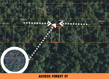 Load image into Gallery viewer, 0.08 Acre in Ozark County, MO Own for $69 Per Month (Parcel Number: 17-0.4-20-004-014-025.000)