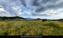 Load image into Gallery viewer, 1 Acre in Apache County, AZ (Parcel Number: 211-35-234) - Once Upon a Brick Inc. Land Investments