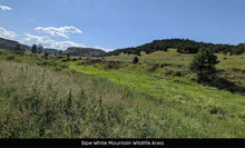 Load image into Gallery viewer, 1 Acre in Apache County, AZ (Parcel Number: 211-35-234) - Once Upon a Brick Inc. Land Investments