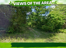 Load image into Gallery viewer, 0.30 Acre in Ozark County, MO Own for $99 Per Month (Parcel Number: 17-0.4-20-003-011-022.000) - Once Upon a Brick Inc. Land Investments