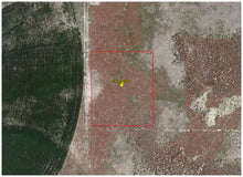 Load image into Gallery viewer, 7.61 Acres in Humboldt County, NV Own for $399 Per Month (Lots 44 & 45) - Once Upon a Brick Inc. Land Investments