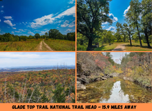 Load image into Gallery viewer, 1.2 Acre in Ozark County, MO Own for $199 Per Month (Parcel Number: 17-0.4-20-002-013-008.000) - Once Upon a Brick Inc. Land Investments