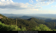 Load image into Gallery viewer, 10 Acres in Apache County, Arizona Own for $400 Per Month (212-13-007C)