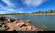 Load image into Gallery viewer, 10 Acres in Apache County, Arizona Own for $400 Per Month (212-13-007C)