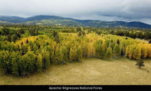 Load image into Gallery viewer, 10 Acres in Apache County, Arizona Own for $400 Per Month (212-13-007C)