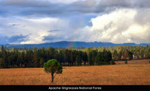 Load image into Gallery viewer, 1 Acre in Apache County, AZ Own for $199 Per Month (Parcel Number: 211-35-234)