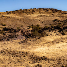 Load image into Gallery viewer, 10 Acres in Apache County, Arizona (212-13-007C) - Once Upon a Brick Inc. Land Investments