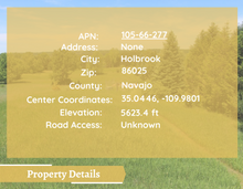 Load image into Gallery viewer, 1.26 Acre in Navajo County, Arizona (Parcel Number: 105-66-277)