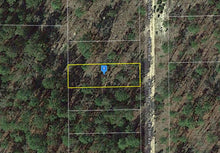 Load image into Gallery viewer, 0.11 Acres in Putnam County, Florida 32148 (LOT 14, BLOCK 16, PARADISE VIEW ESTATES) - Own for $175 Per Month - Once Upon a Brick Inc. Land Investments