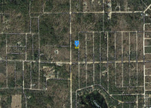 Load image into Gallery viewer, 0.11 Acres in Putnam County, Florida 32148 (LOT 14, BLOCK 16, PARADISE VIEW ESTATES) - Own for $175 Per Month - Once Upon a Brick Inc. Land Investments