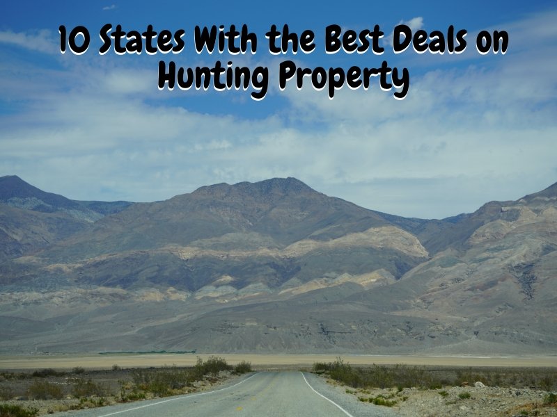 10 States With the Best Deals on Hunting Property