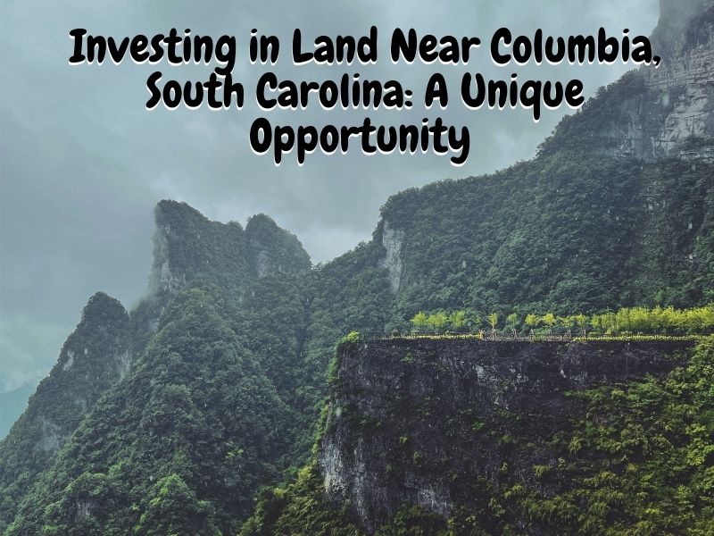 Investing in Land Near Columbia, South Carolina: A Unique Opportunity