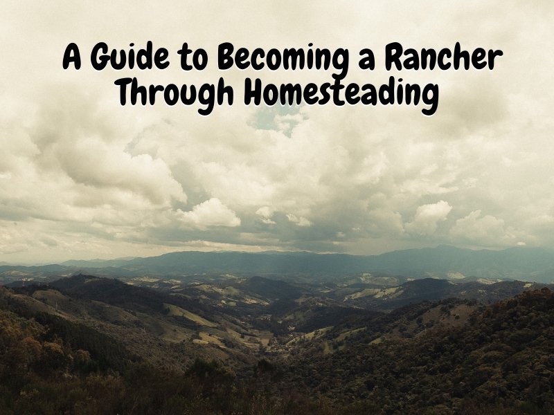 A Guide to Becoming a Rancher Through Homesteading