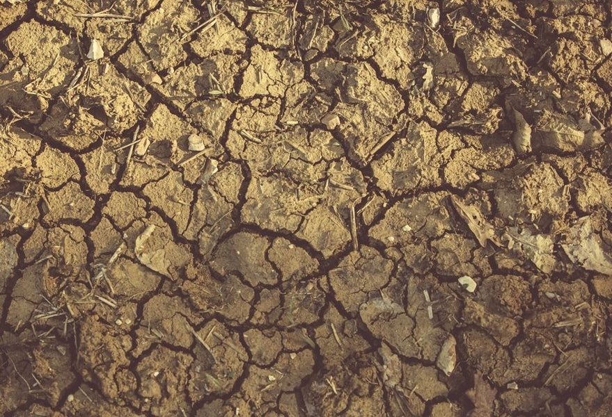 A Guide to Buying Cheap Government-Owned Land