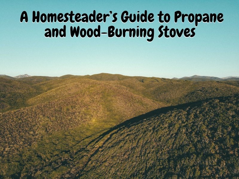 A Homesteader’s Guide to Propane and Wood-Burning Stoves