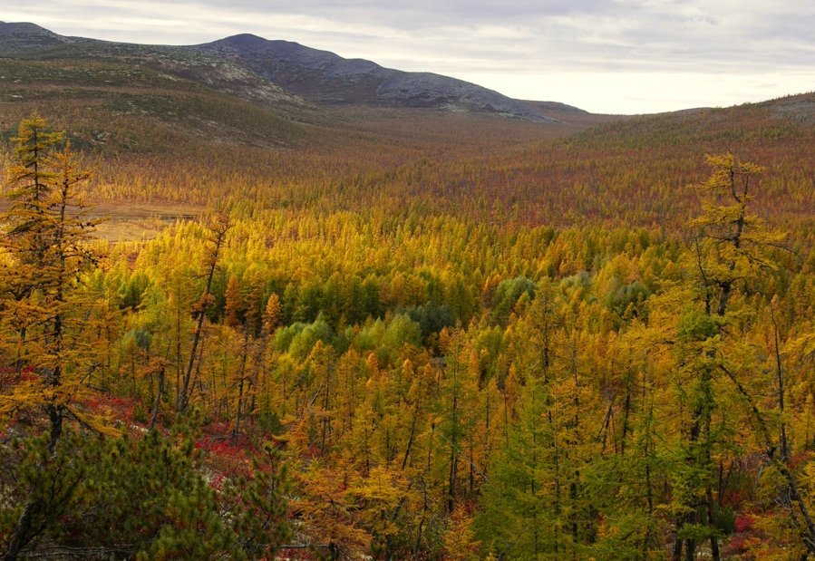 10 Cheapest Cities in the US to Buy Land Investment Opportunities