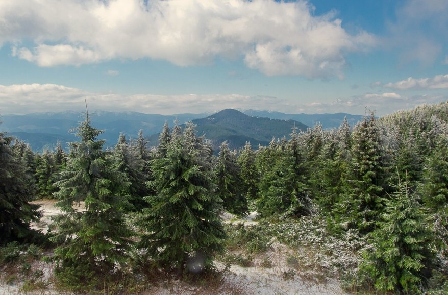 Creative Financing Options for Buying Cheap Land