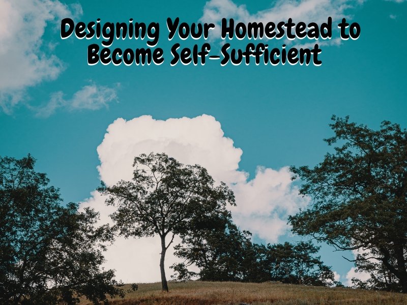 Designing Your Homestead to Become Self-Sufficient