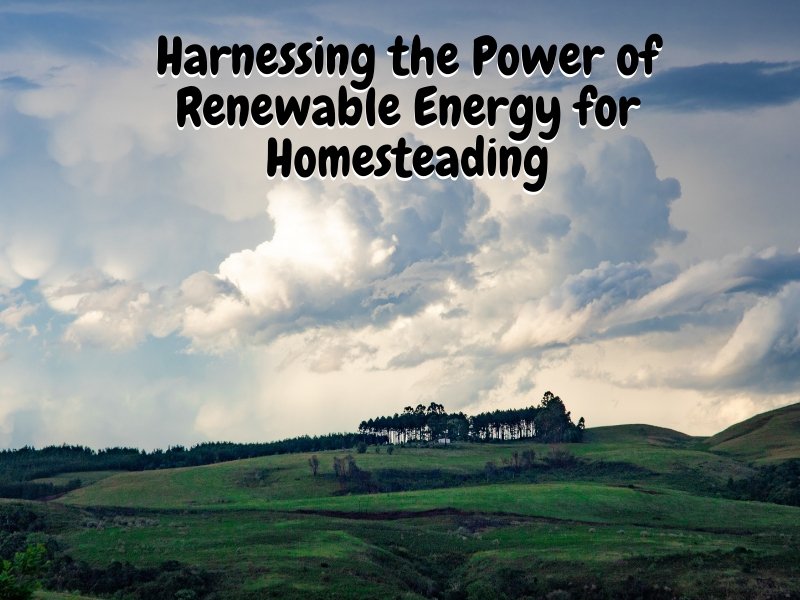 Harnessing the Power of Renewable Energy for Homesteading