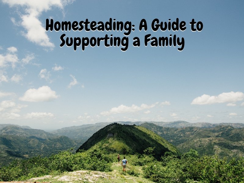 Homesteading: A Guide to Supporting a Family