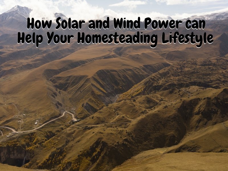 How Solar and Wind Power can Help Your Homesteading Lifestyle