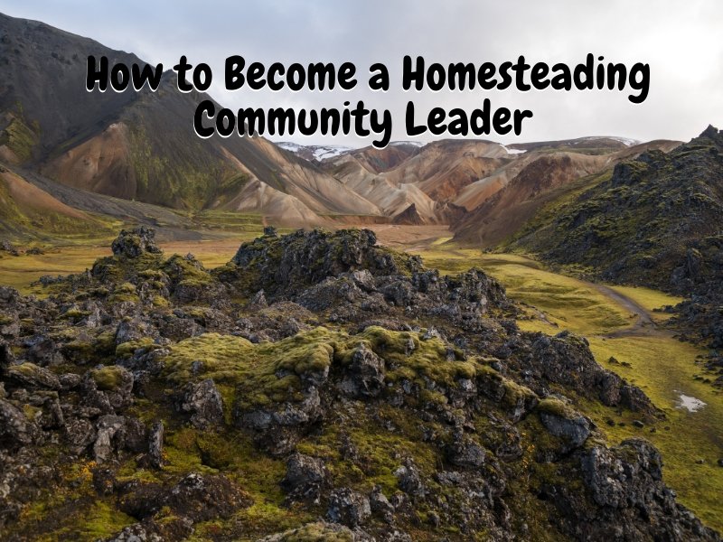 How to Become a Homesteading Community Leader