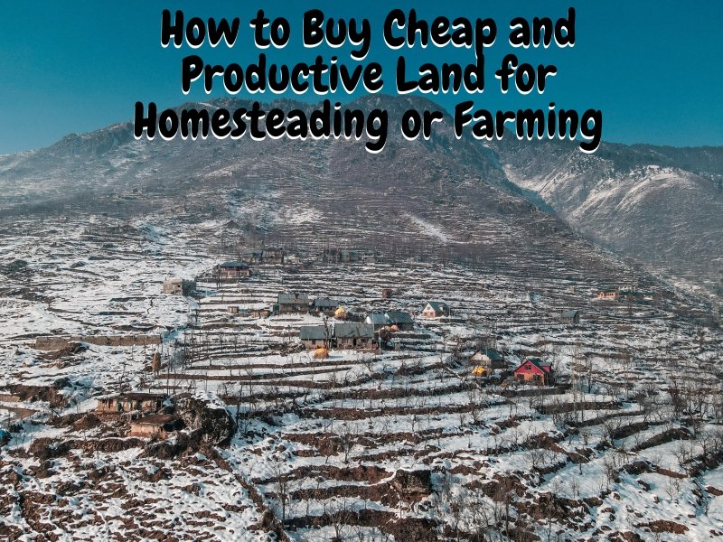 How to Buy Cheap and Productive Land for Homesteading or Farming
