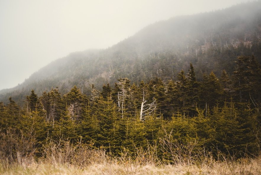 How to Buy Cheap Land at Auction