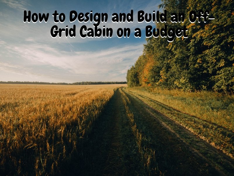 How to Design and Build an Off-Grid Cabin on a Budget
